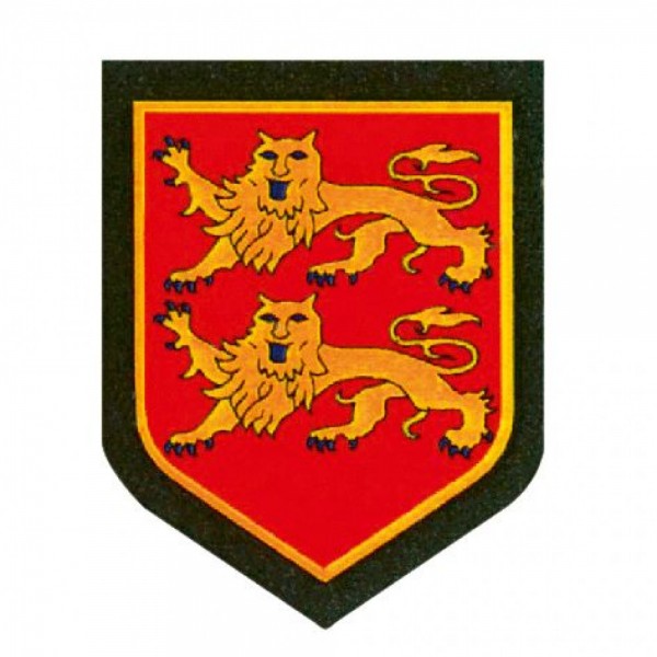 Écusson Haute-Autriche à Repasser – Patch Polyester 55 X 90 Mm